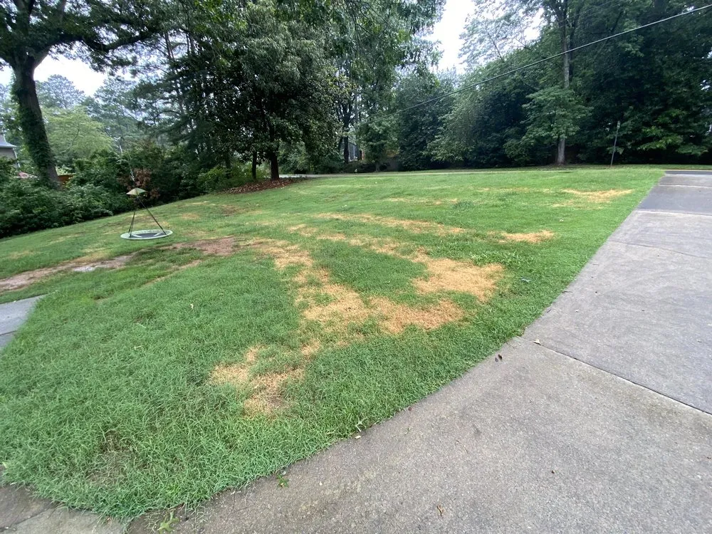 Local landscaping services for outdoor upgrades in Norcross, GA by TruGreen Lawn Care