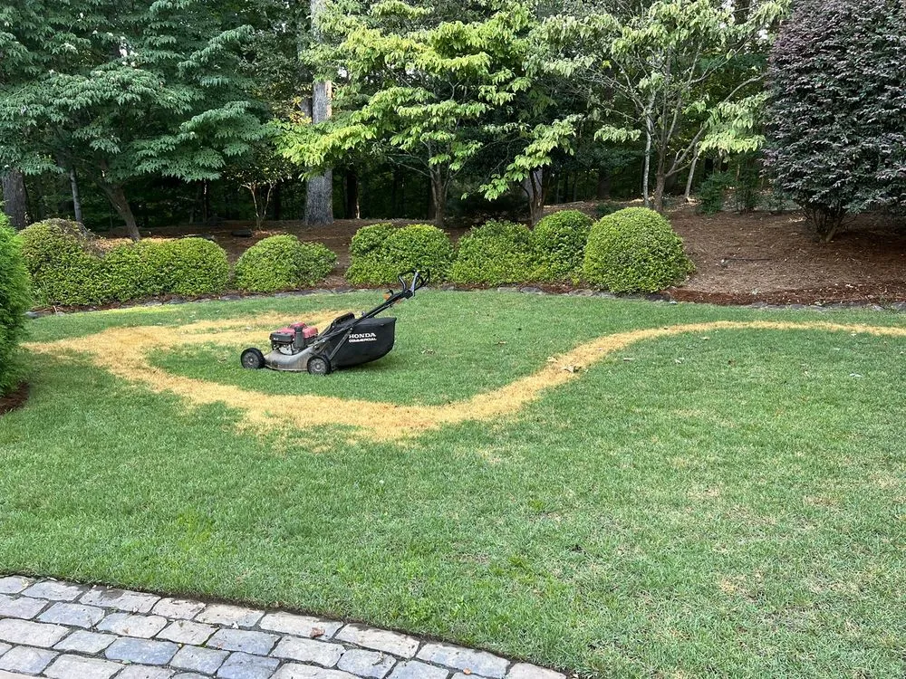 Local yard maintenance in Norcross, GA - TruGreen Lawn Care