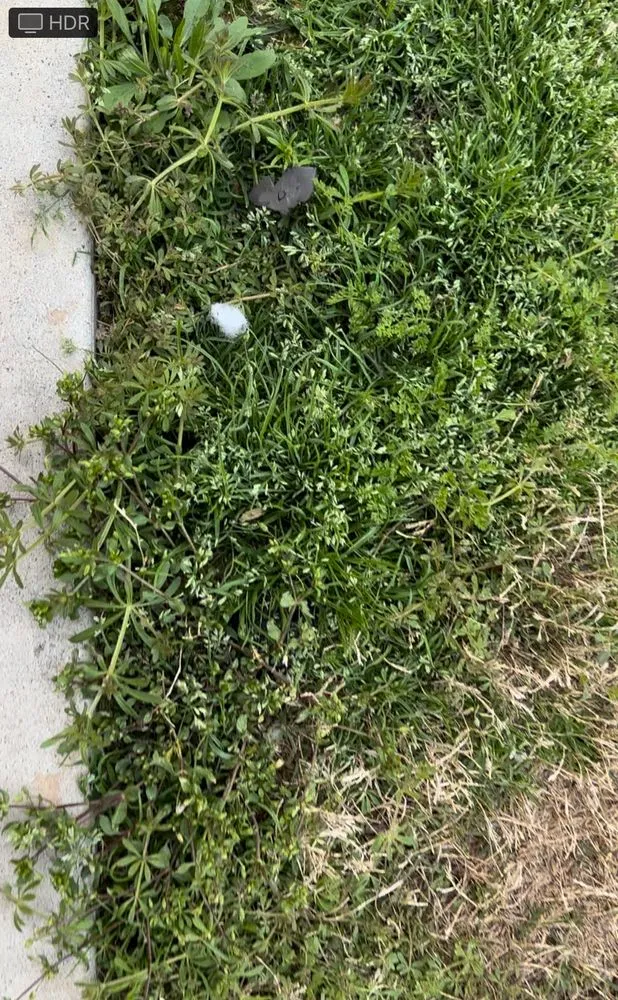 Reliable landscape installation experts serving Norcross, GA - TruGreen Lawn Care