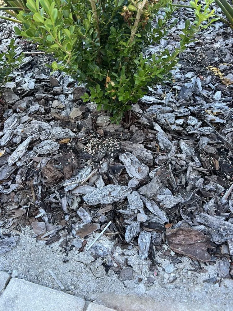 Affordable landscape installation experts serving Oldsmar, FL - TruGreen Lawn Care