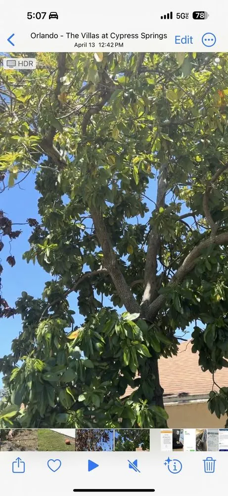 Affordable landscape design in Orlando, FL by TruGreen Lawn Care