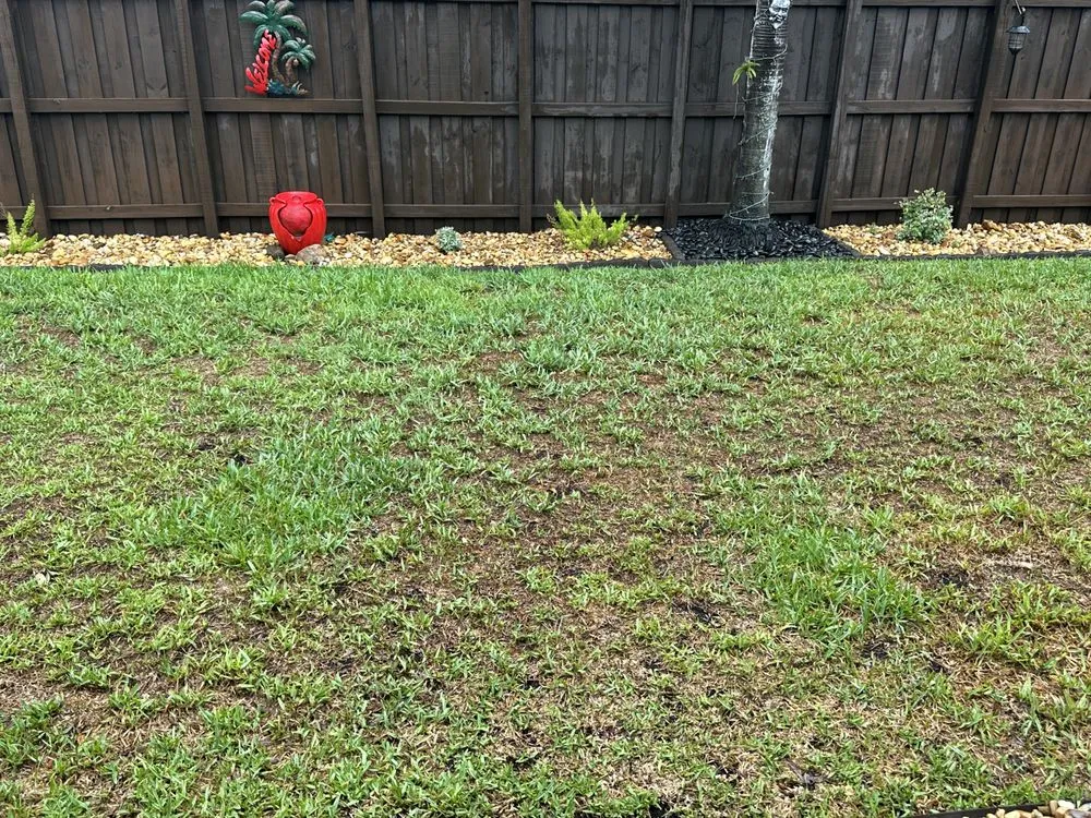Top-rated yard cleanup service experts serving Pembroke Pines, FL - TruGreen Lawn Care