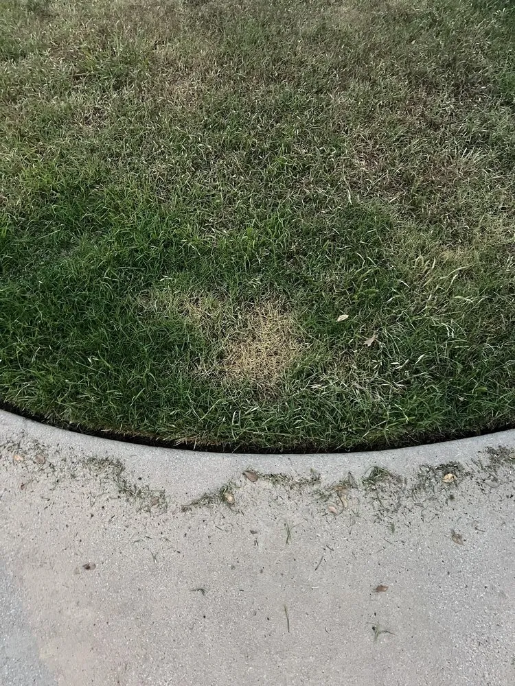 Expert yard cleanup service in Richland Hills, TX by TruGreen Lawn Care