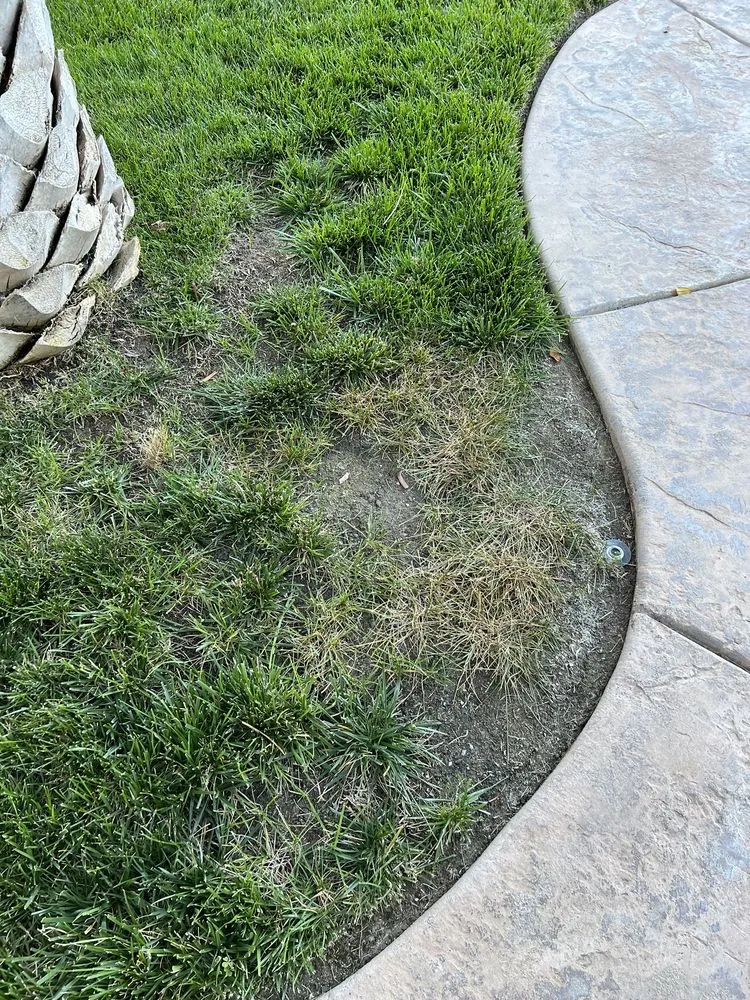 Affordable lawn mowing service in Riverside, CA - TruGreen Lawn Care