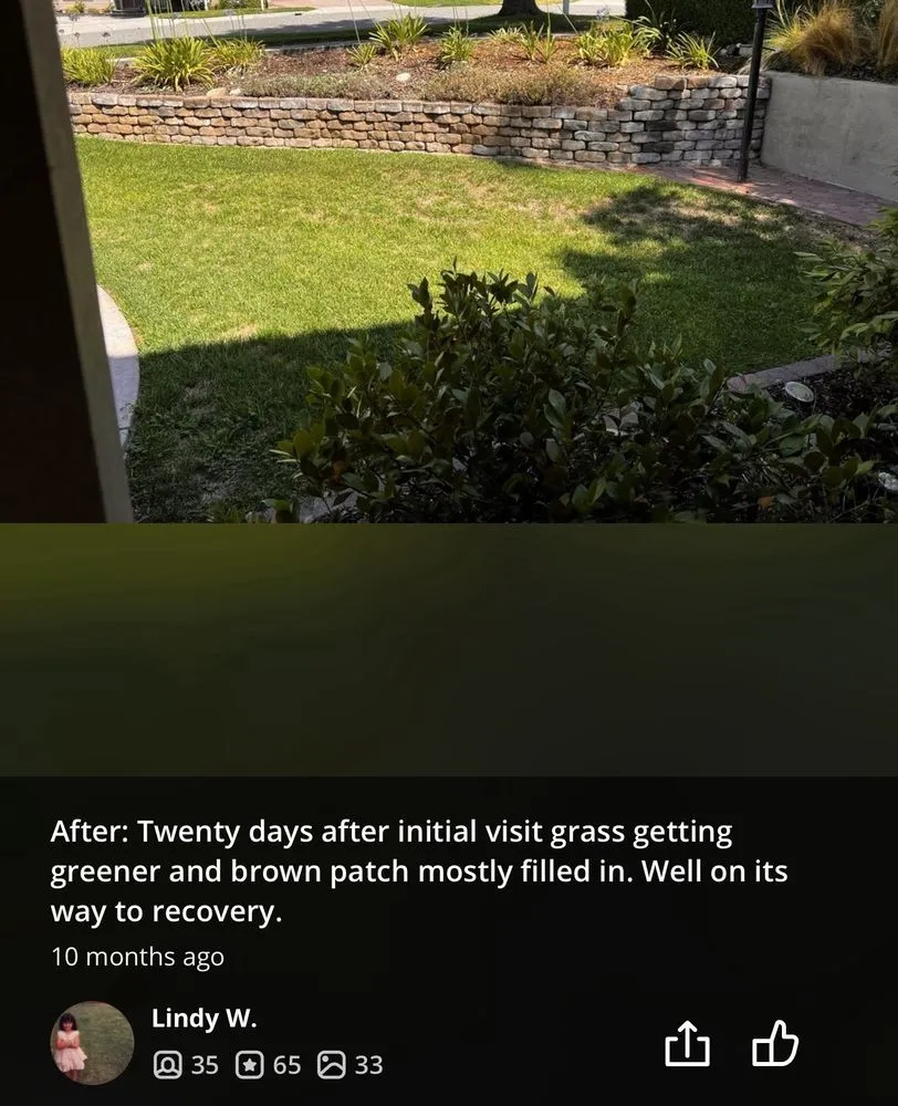 Expert lawn care service for year-round maintenance in Riverside, CA by TruGreen Lawn Care