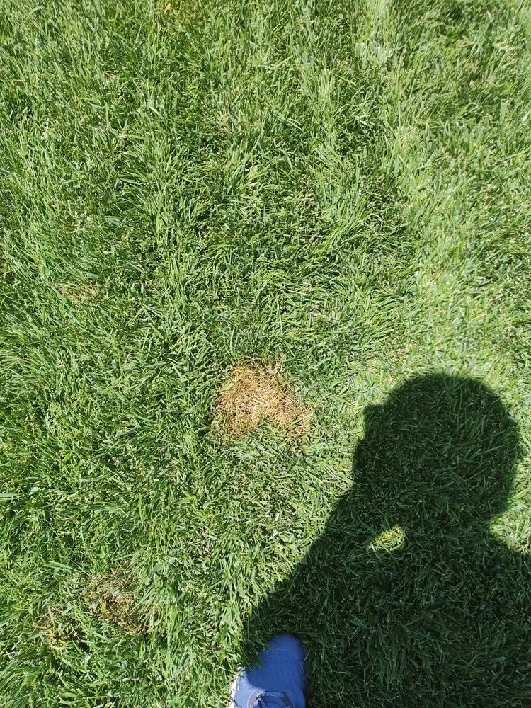 Affordable outdoor landscaping experts serving Riverside, CA - TruGreen Lawn Care