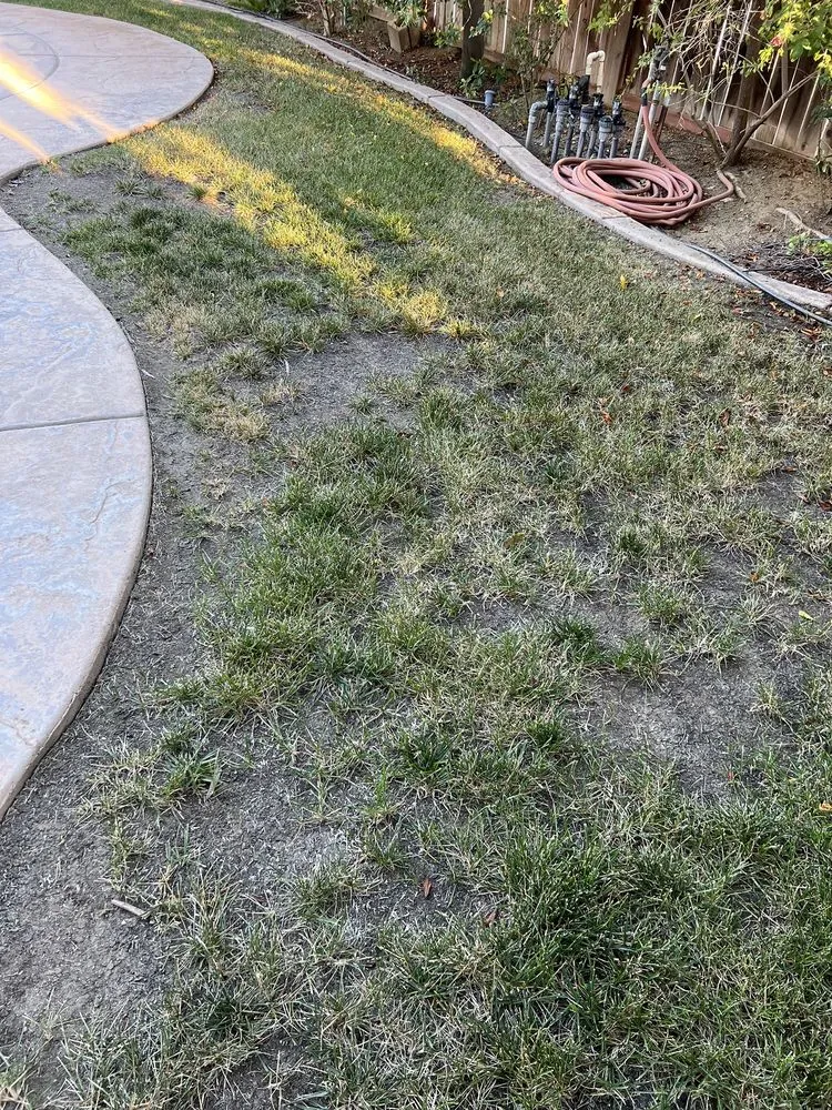 Trusted yard maintenance in Riverside, CA by TruGreen Lawn Care