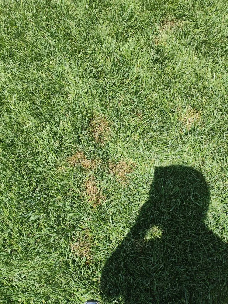 Local landscaping services in Riverside, CA by TruGreen Lawn Care