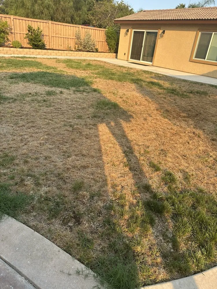 Trusted residential landscaping for beautiful yards across Riverside, CA - TruGreen Lawn Care