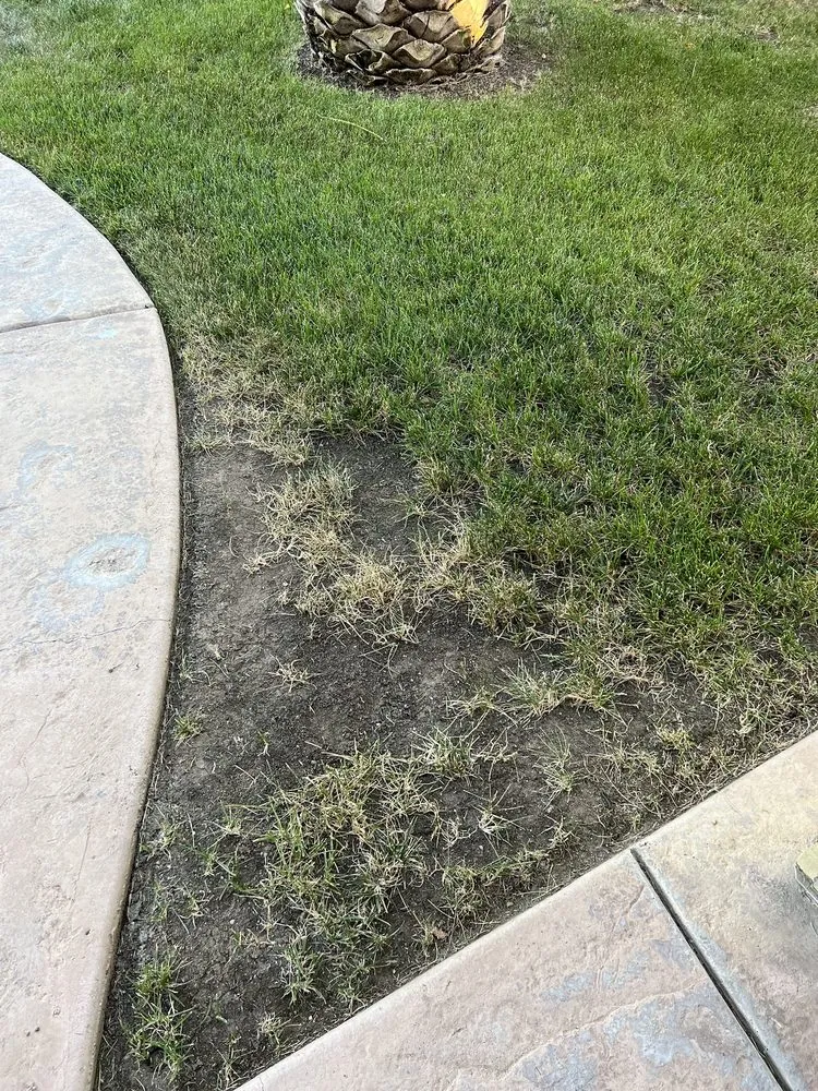 Expert lawn care service for outdoor upgrades across Riverside, CA - TruGreen Lawn Care