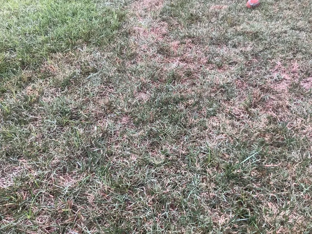 Local landscape installation experts serving Riverside, CA - TruGreen Lawn Care