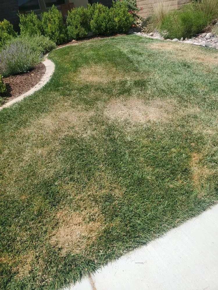 Trusted residential landscaping in Riverside, CA - TruGreen Lawn Care