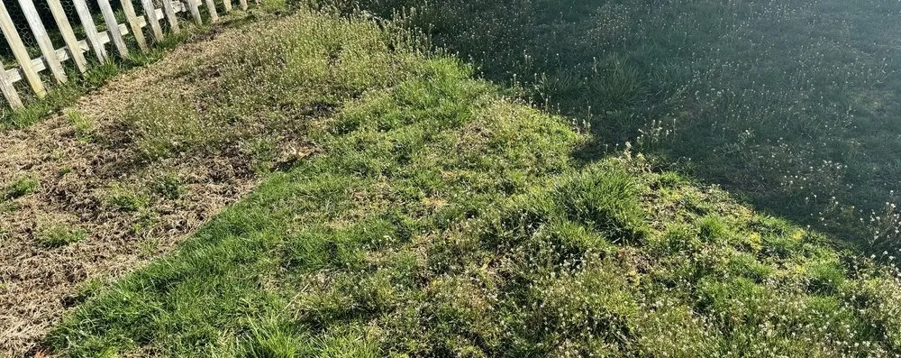 Local landscaping services experts serving Rocky Hill, CT - TruGreen Lawn Care