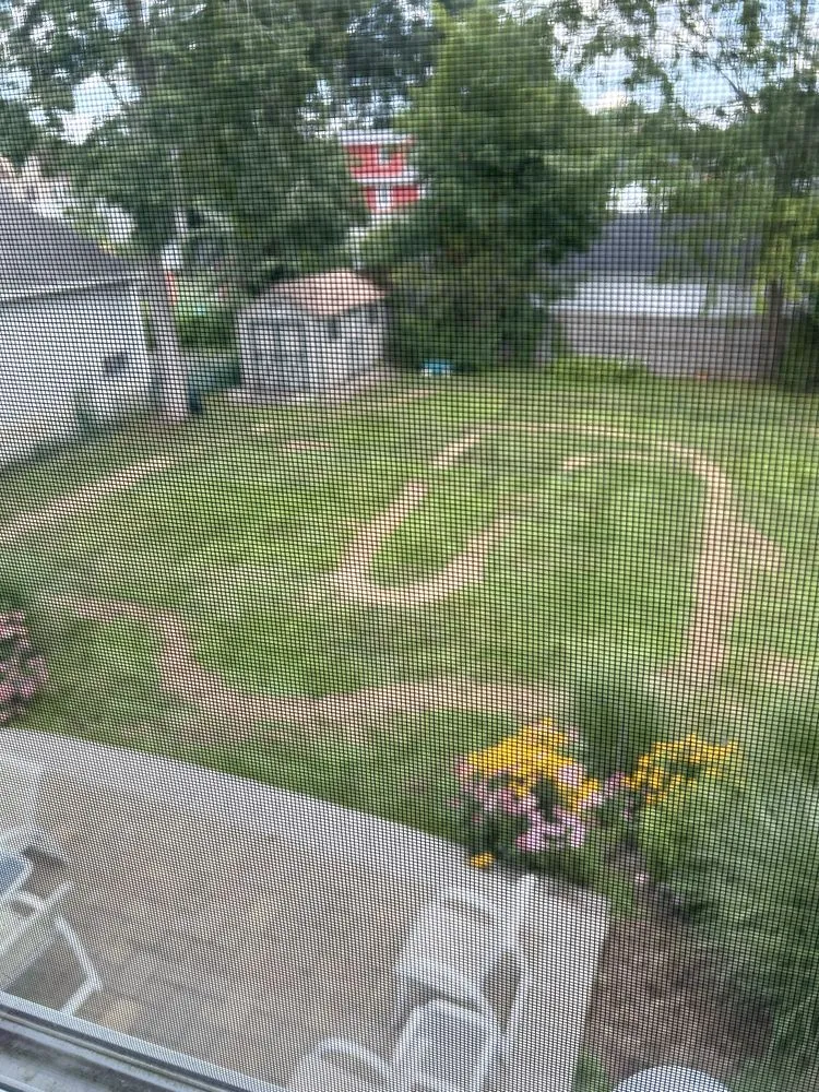 Local yard cleanup service in Rocky Hill, CT - TruGreen Lawn Care