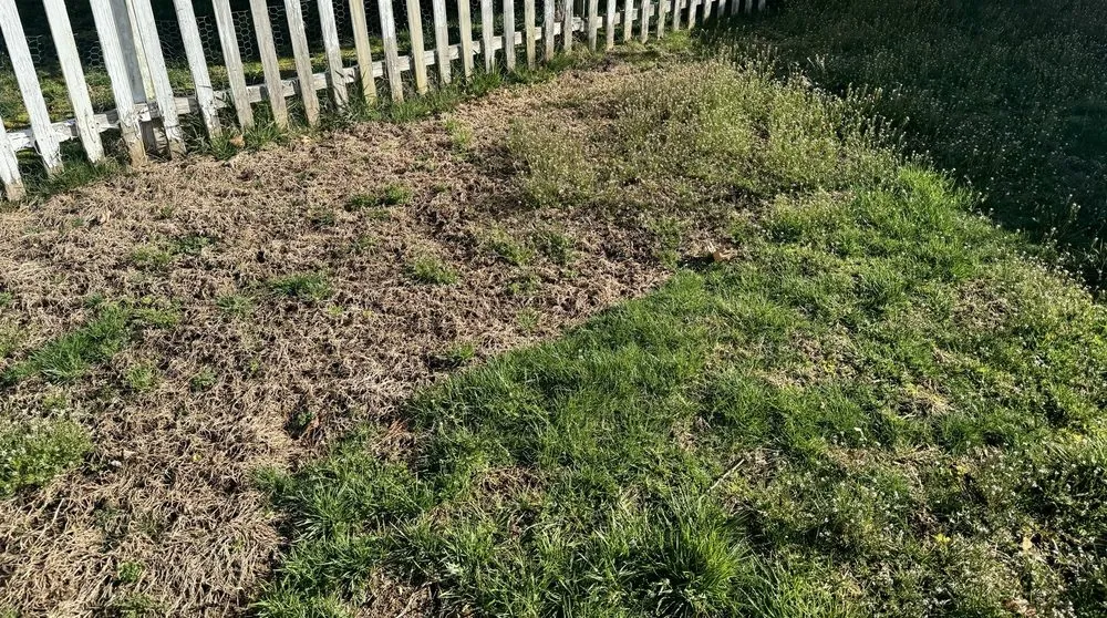 Expert residential landscaping for residential properties in Rocky Hill, CT by TruGreen Lawn Care