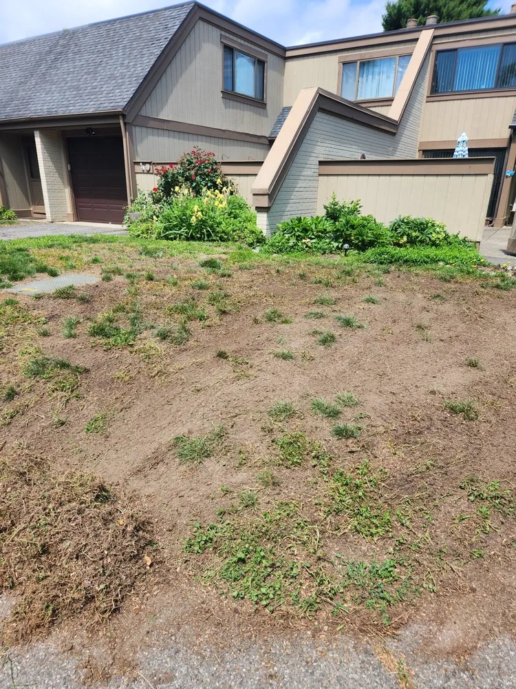 Professional landscape design with custom design across Rocky Hill, CT - TruGreen Lawn Care