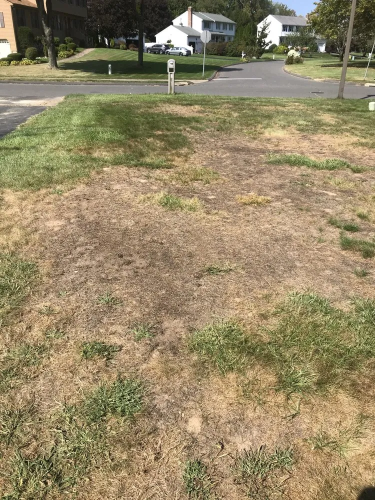 Local landscaping services in Rocky Hill, CT - TruGreen Lawn Care