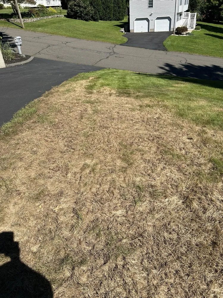 Reliable lawn care service near you across Rocky Hill, CT - TruGreen Lawn Care