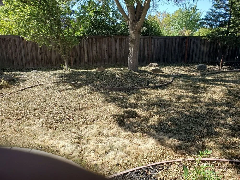 Top-rated garden landscaping for outdoor upgrades across Sacramento, CA - TruGreen Lawn Care