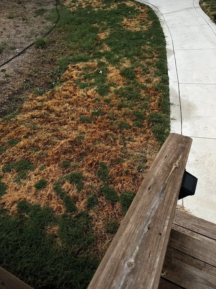 Reliable residential landscaping for year-round maintenance across San Antonio, TX - TruGreen Lawn Care