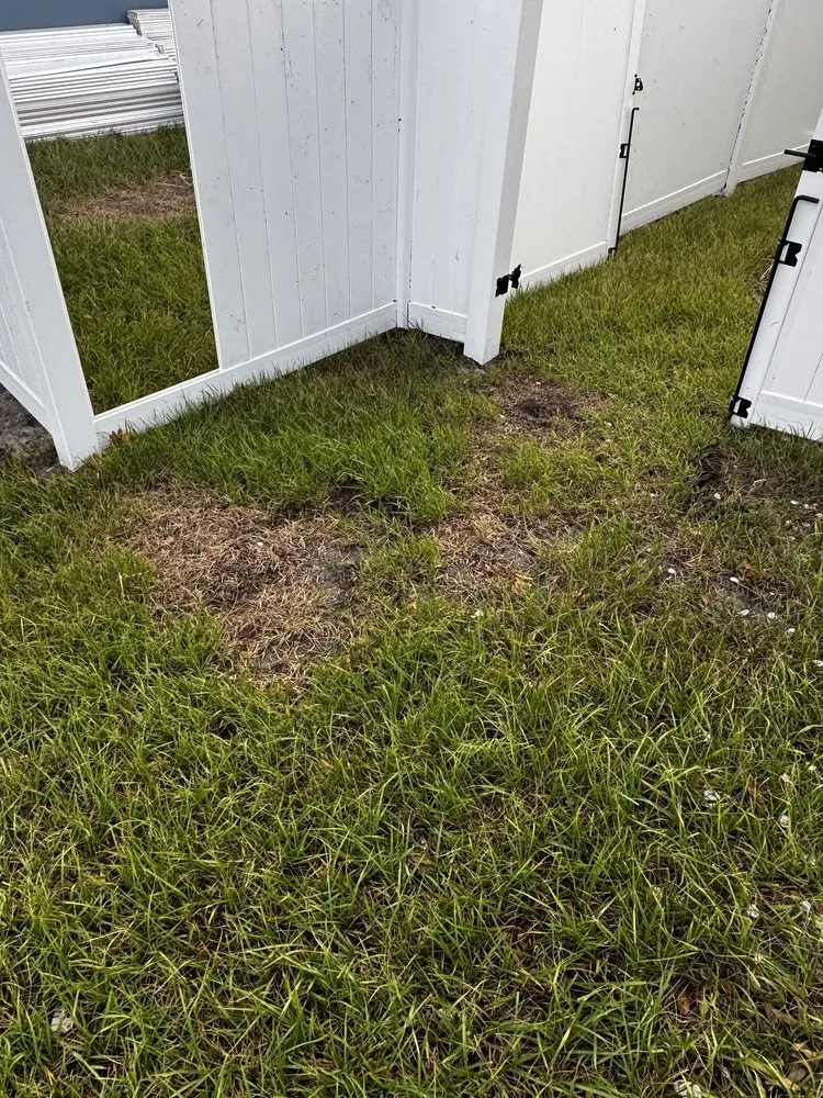 Trusted yard maintenance in Sarasota, FL by TruGreen Lawn Care