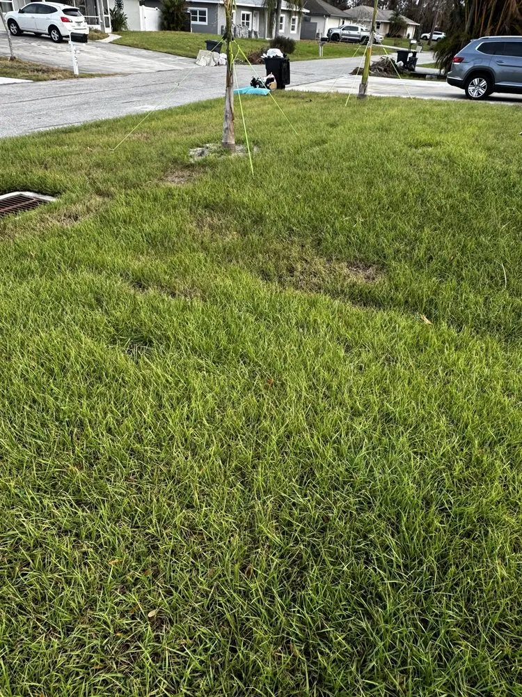 Custom lawn care service experts serving Sarasota, FL - TruGreen Lawn Care