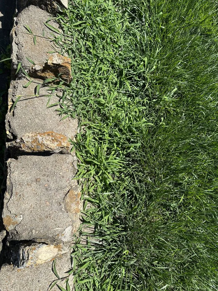 Custom residential landscaping for beautiful yards across Shawnee, KS - TruGreen Lawn Care