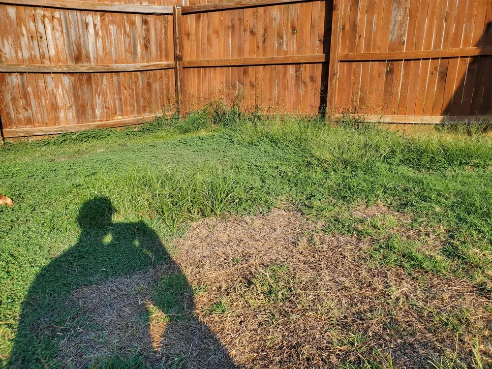 Top-rated lawn mowing service in Sterling, VA by TruGreen Lawn Care