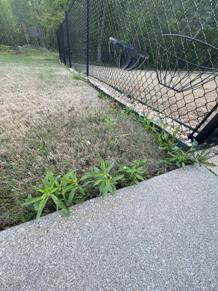 Professional residential landscaping in Suwanee, GA by TruGreen Lawn Care