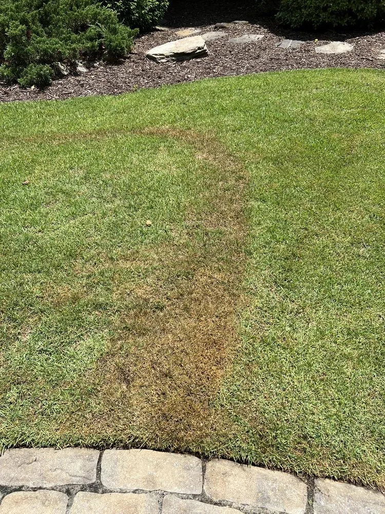 Trusted residential landscaping experts serving Suwanee, GA - TruGreen Lawn Care