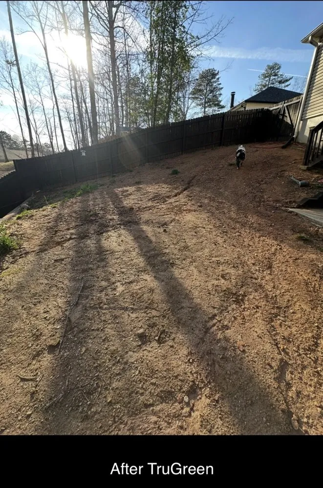 Affordable lawn care service for homes across Suwanee, GA - TruGreen Lawn Care