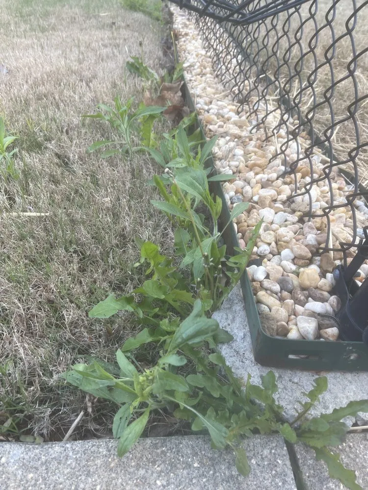 Top-rated outdoor landscaping near you across Suwanee, GA - TruGreen Lawn Care