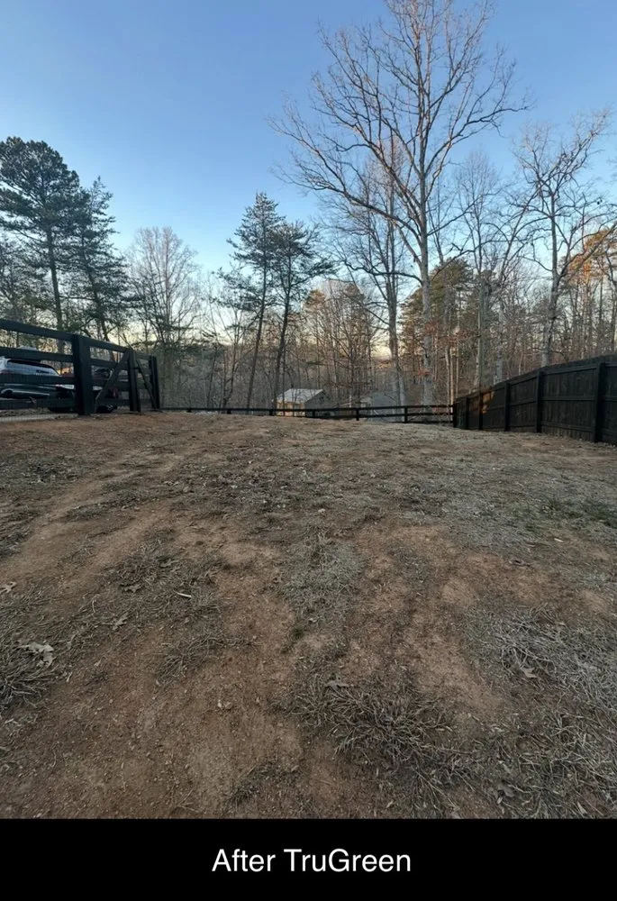 Custom residential landscaping in Suwanee, GA - TruGreen Lawn Care