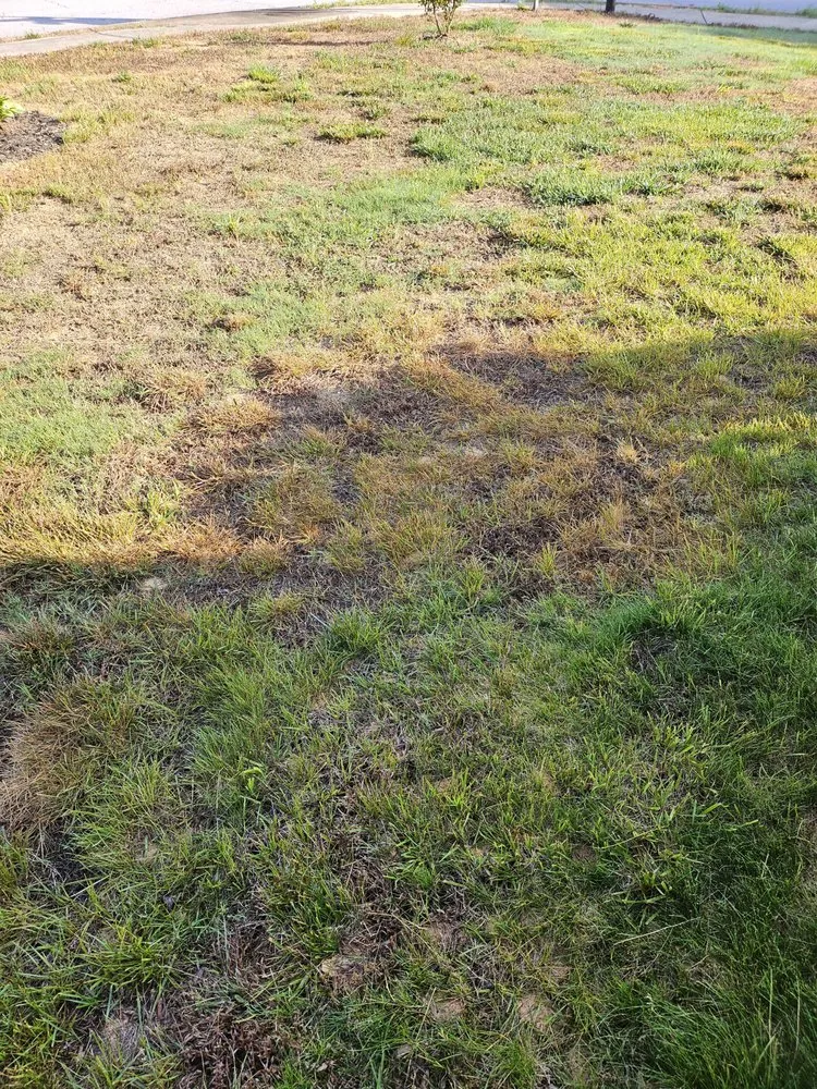 Top-rated landscape installation near you across Suwanee, GA - TruGreen Lawn Care