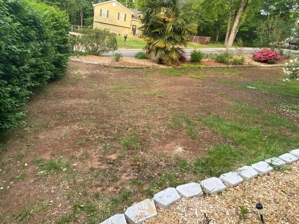 Trusted landscape installation for beautiful yards across Suwanee, GA - TruGreen Lawn Care