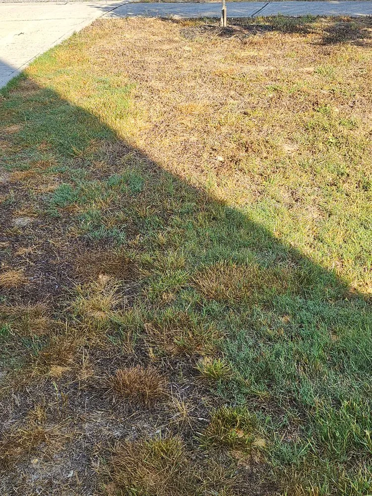 Custom landscape installation in Suwanee, GA by TruGreen Lawn Care