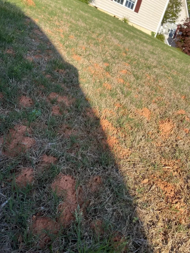 Reliable residential landscaping experts serving Suwanee, GA - TruGreen Lawn Care