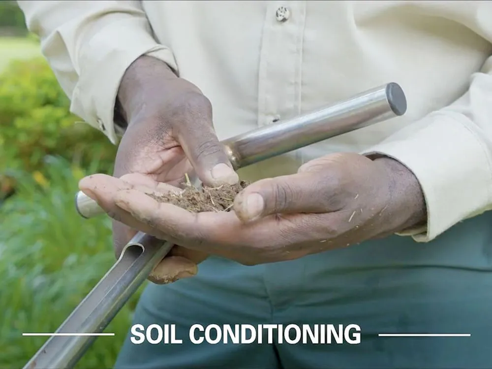 Trusted landscape installation experts serving Theodore, AL - TruGreen Lawn Care