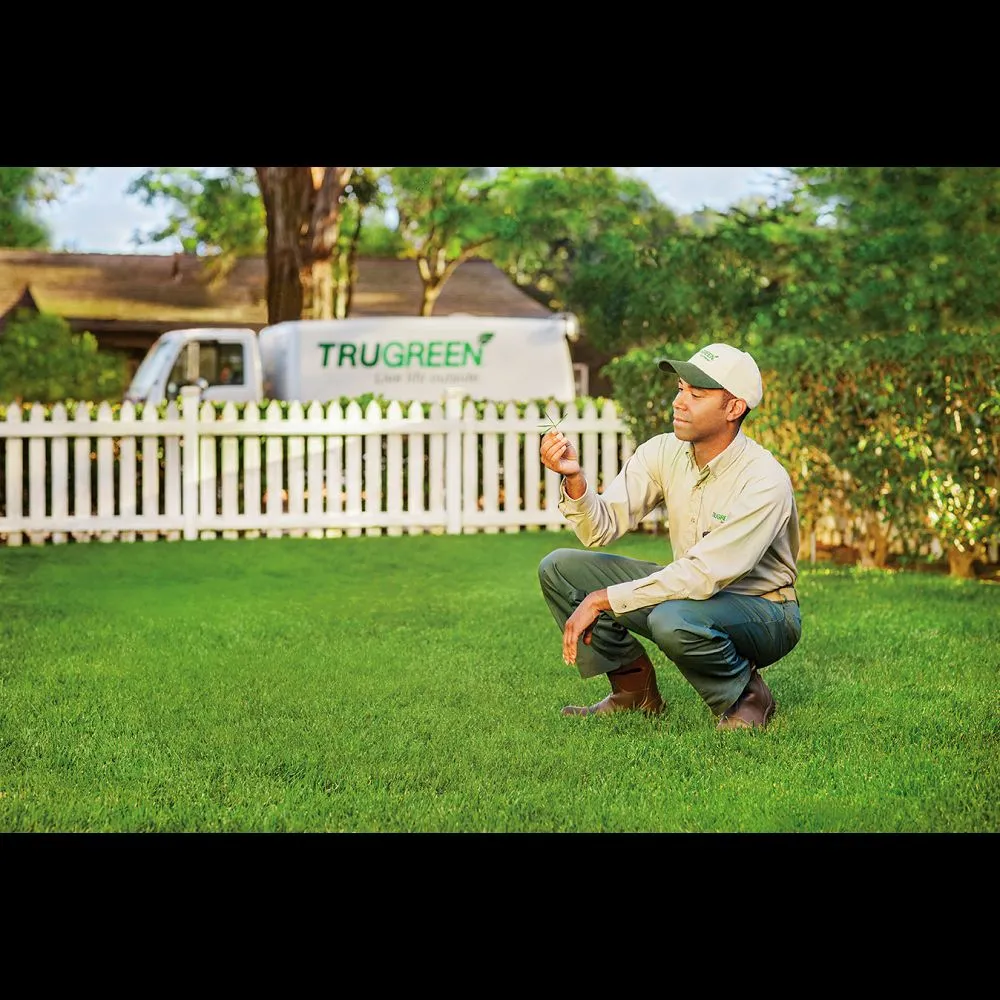 Professional landscaping services in Theodore, AL - TruGreen Lawn Care