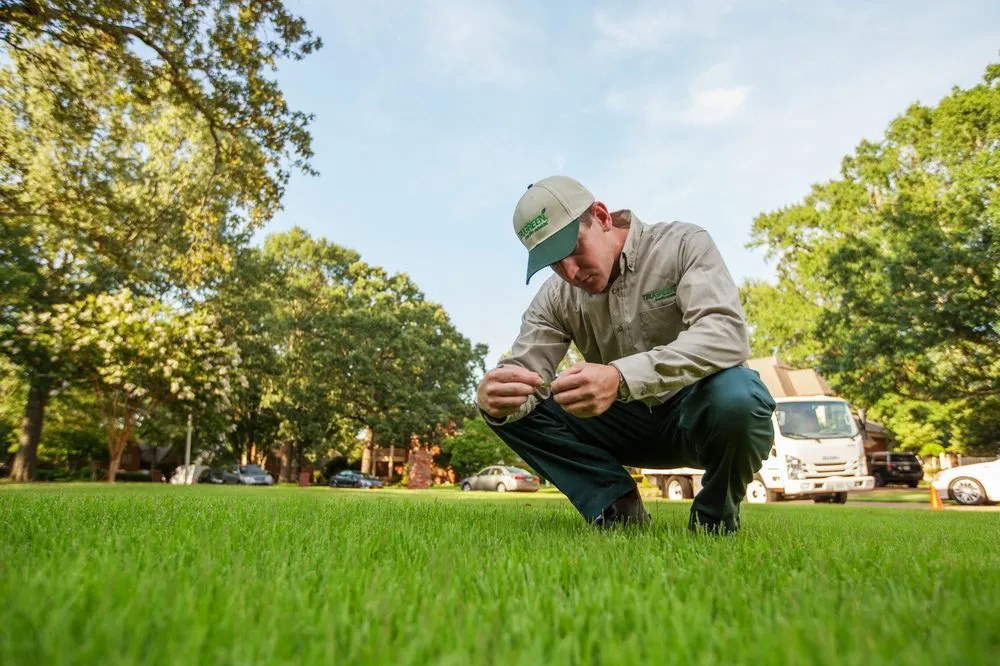 Reliable outdoor landscaping with custom design across Thomasville, PA - TruGreen Lawn Care