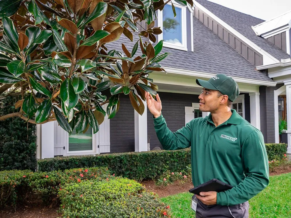 Professional landscaping services with custom design across Thomasville, PA - TruGreen Lawn Care
