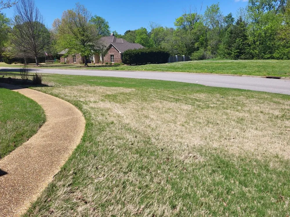 Trusted lawn care service in Tupelo, MS - TruGreen Lawn Care