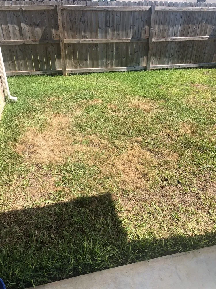 Local landscape design in Tyler, TX - TruGreen Lawn Care