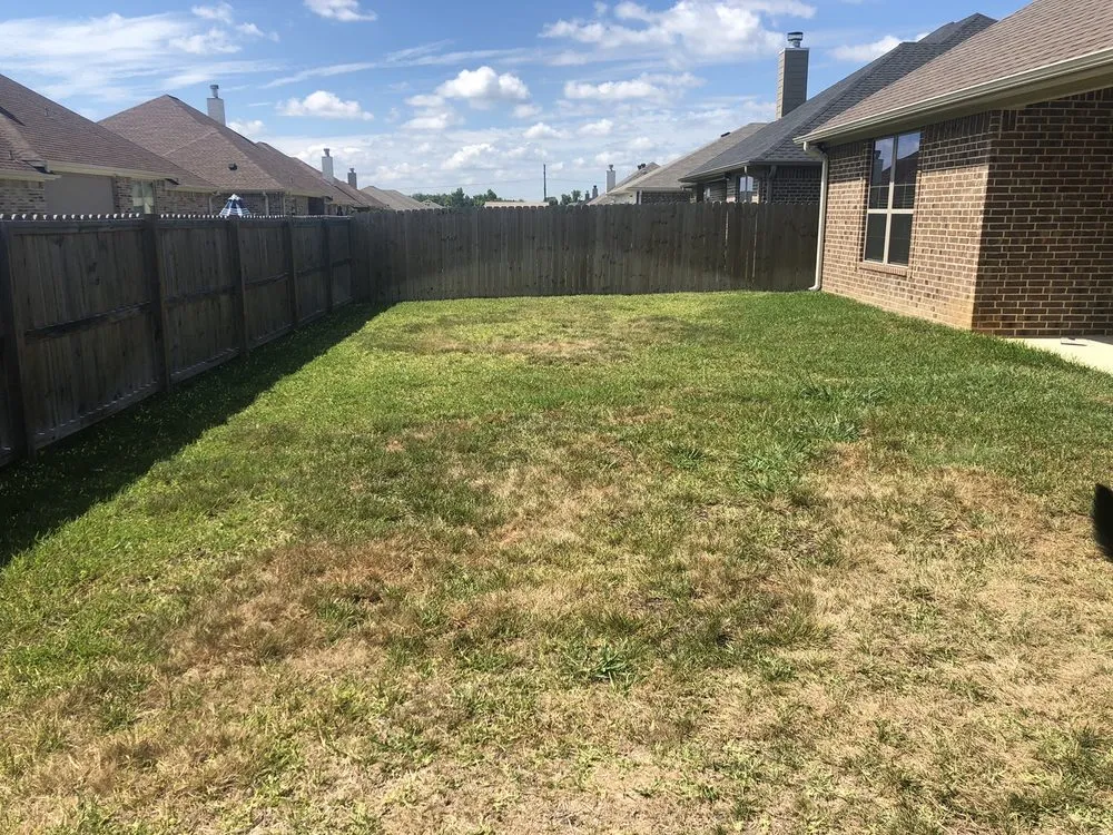 Expert lawn care service near you in Tyler, TX by TruGreen Lawn Care