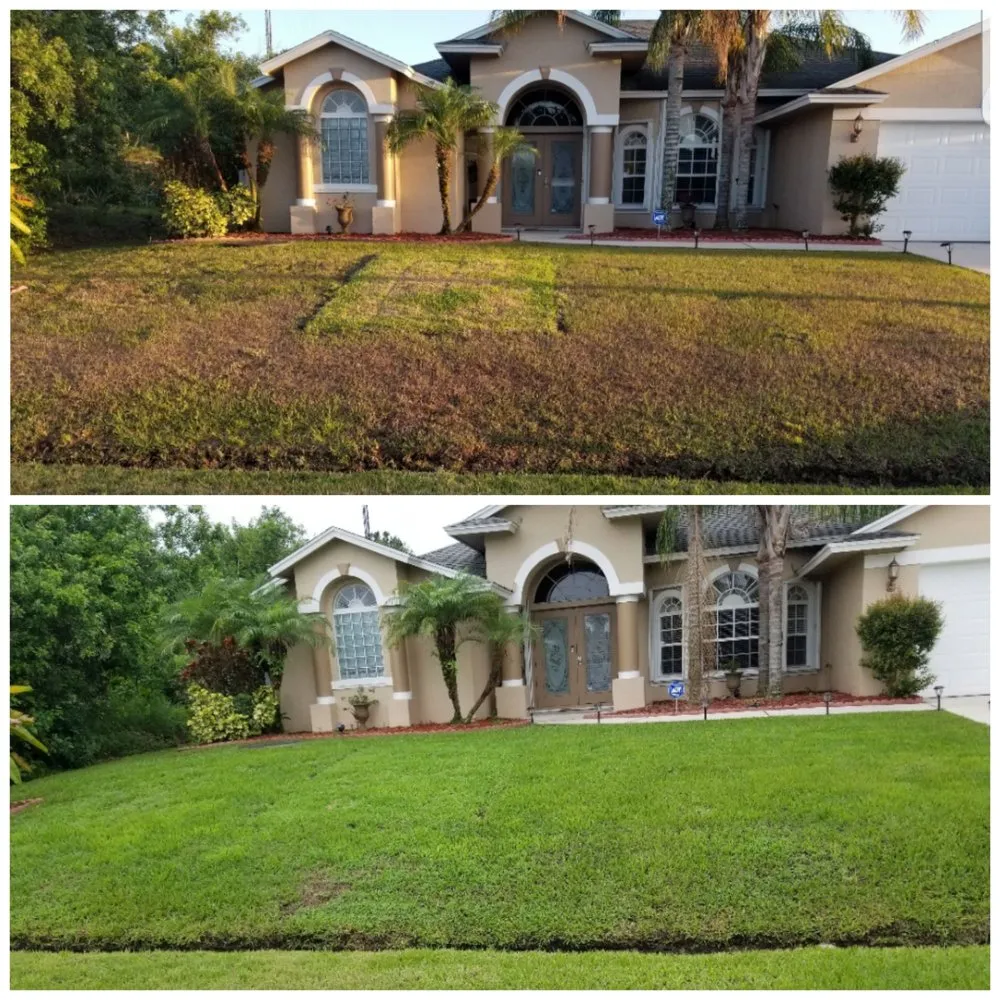 Top-rated yard maintenance near you across Vero Beach, FL - TruGreen Lawn Care