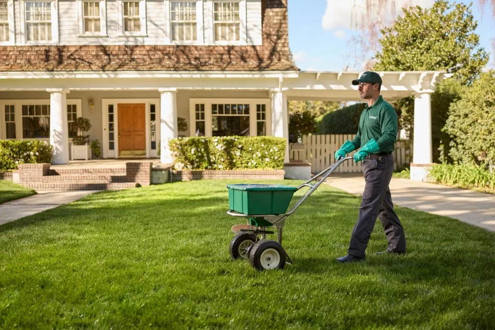 Top-rated lawn mowing service experts serving Virginia Beach, VA - TruGreen Lawn Care