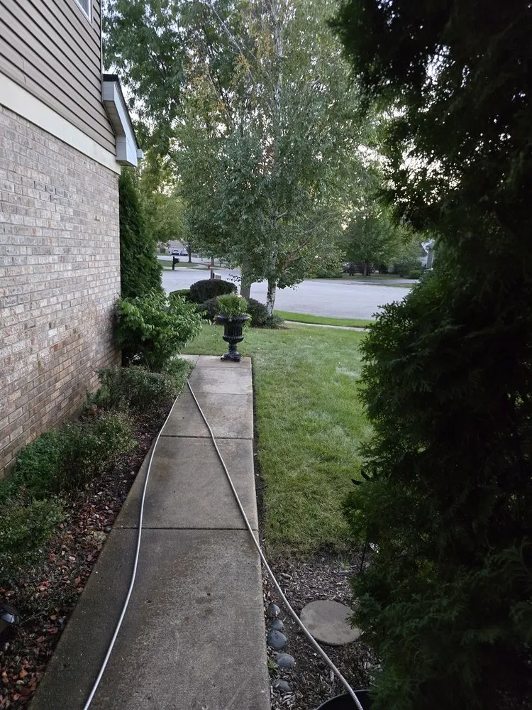 Reliable yard cleanup service in West Chicago, IL by TruGreen Lawn Care