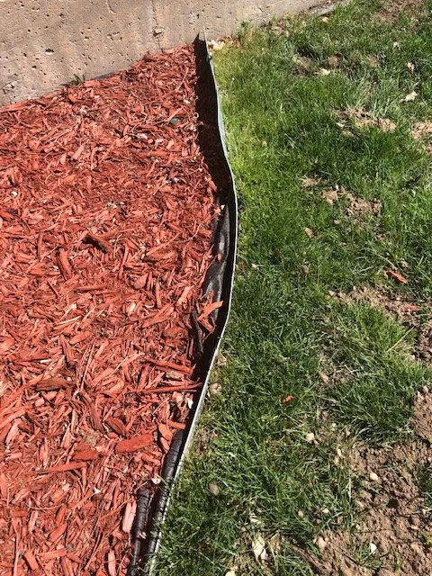 Reliable lawn care service experts serving Wheat Ridge, CO - TruGreen Lawn Care