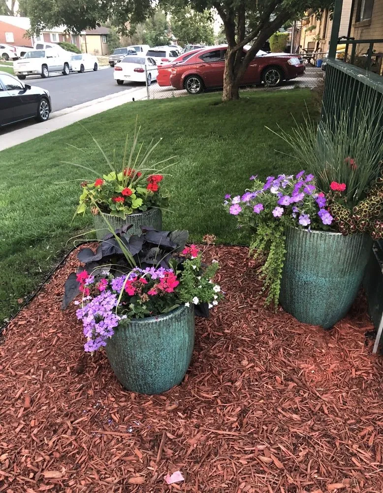 Expert outdoor landscaping experts serving Wheat Ridge, CO - TruGreen Lawn Care