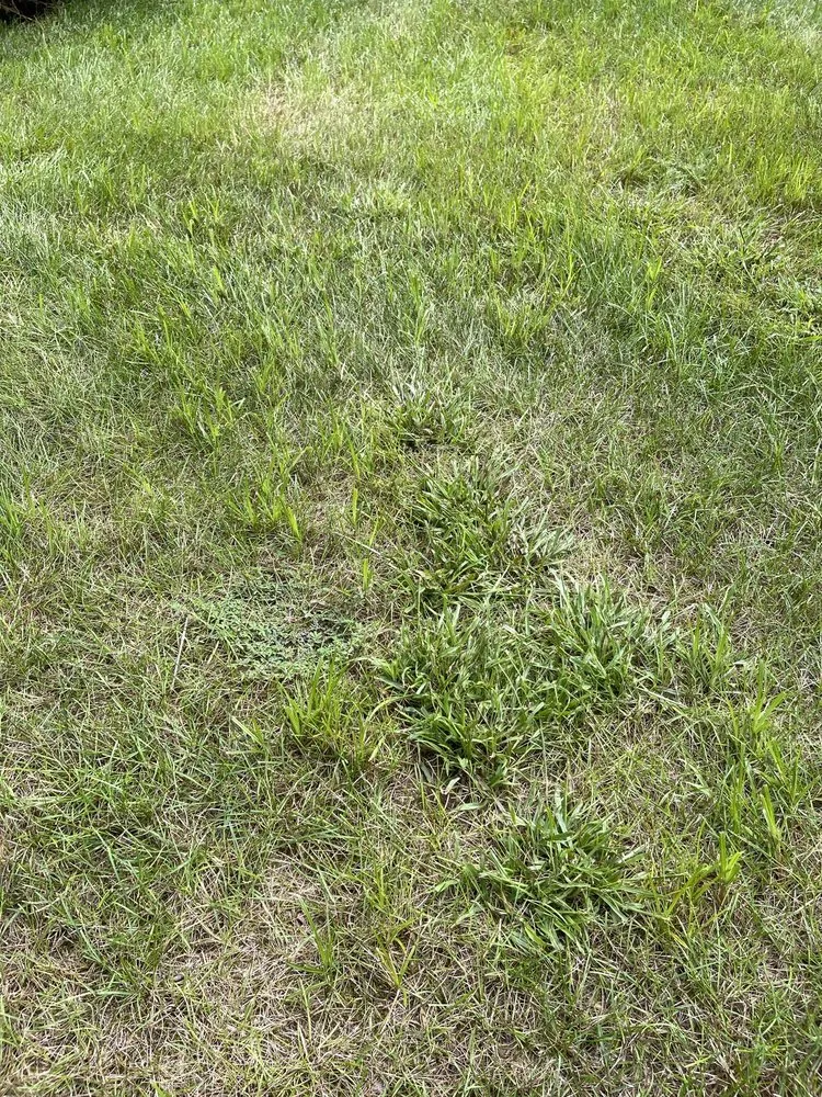 Affordable lawn care service experts serving Windsor, CT - TruGreen Lawn Care